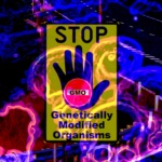 genetically modified food risks