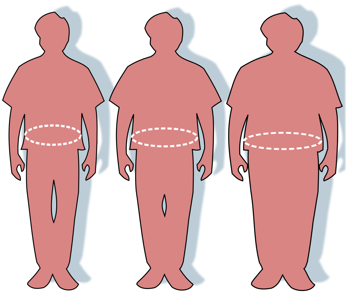 obesity-increase-may-not-be-entirely-due-to-couch-potato-society