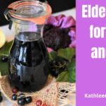 elderberry