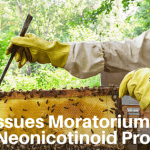 EPA Issues Moratorium on