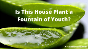 aloe