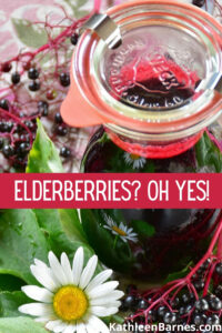 home grown elderberries