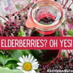 home grown elderberries