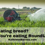 eating roundup