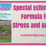 Special Echinacea Formula
