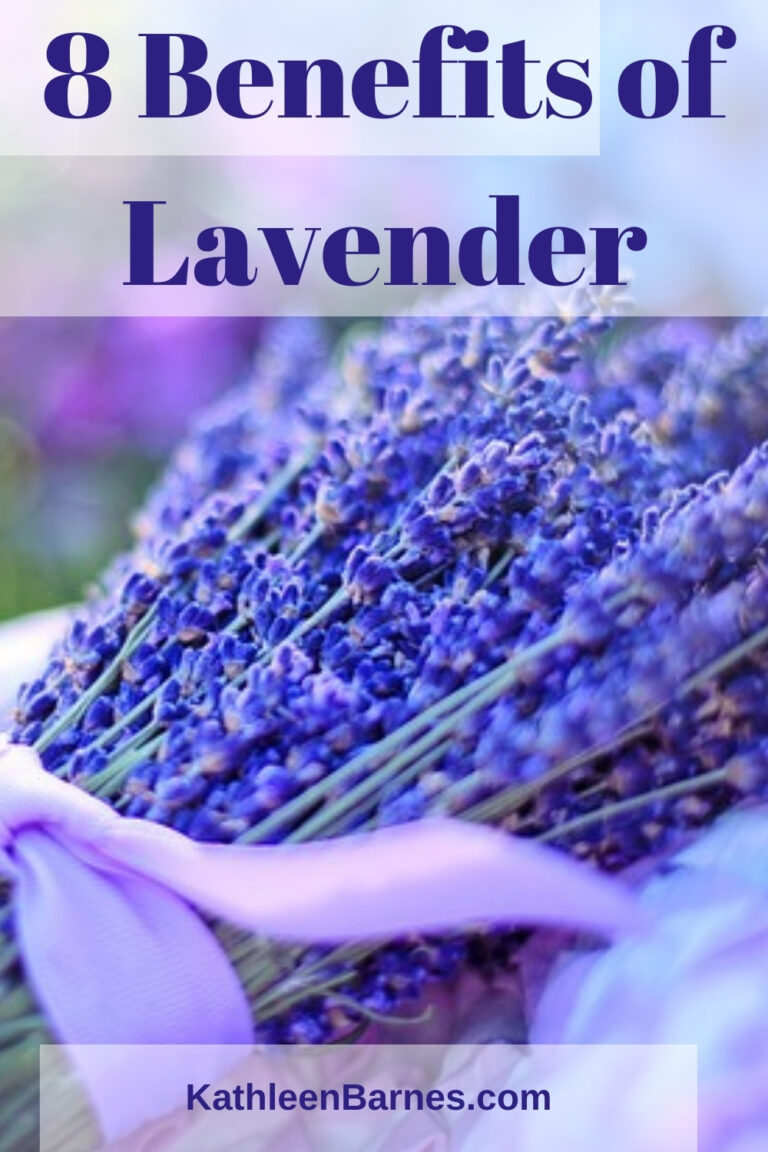 Lavender 8 Benefits of this Amazing Herb