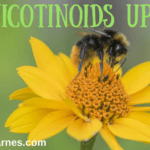 Neonicotinoids Update