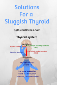 sluggish thyroid