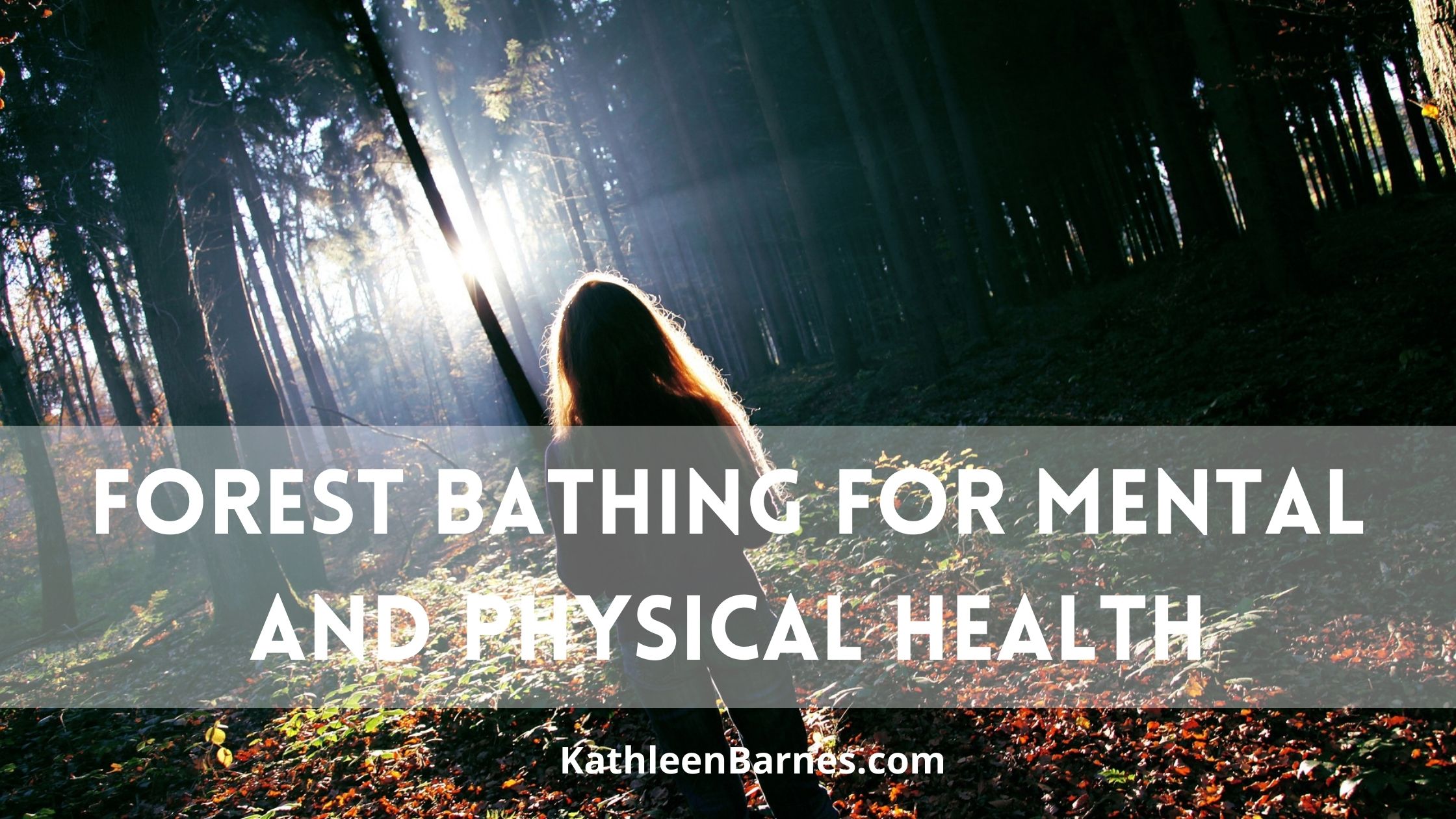 Forest Bathing for Mental and Physical Health – KathleenBarnes.com